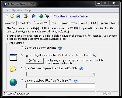 Auto Launch File